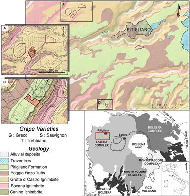 Conservation of 87Sr/86Sr During Wine-Making of White Wines: A Geochemical Fingerprint of Geographical Provenance and Quality Production